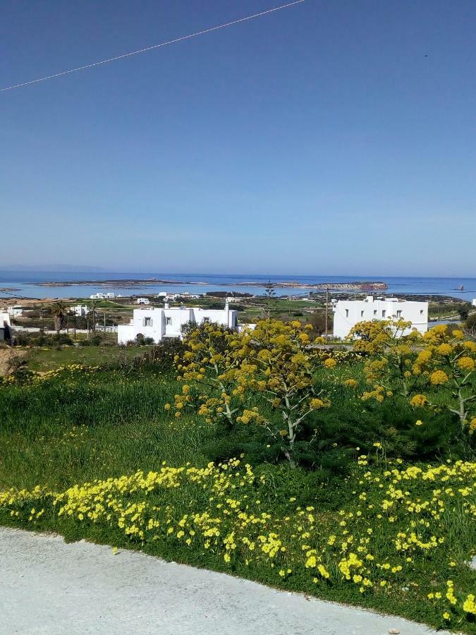Traditional House Paros Sarakiniko  Экстерьер фото