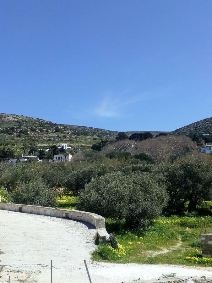 Traditional House Paros Sarakiniko  Экстерьер фото