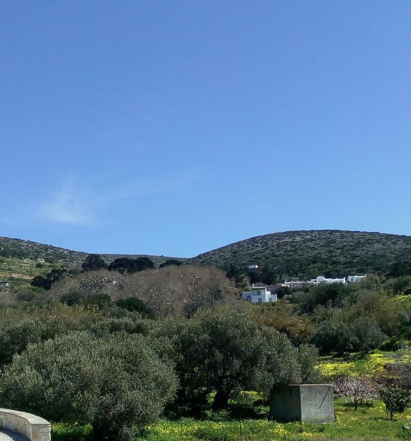 Traditional House Paros Sarakiniko  Экстерьер фото